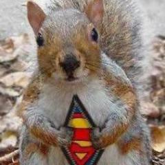 00034-jpg-9a5e3e2a5beec7f1180db3cb8d136276-thumb_-jpg-65b6be99be7ea0640265c773852a6fbd