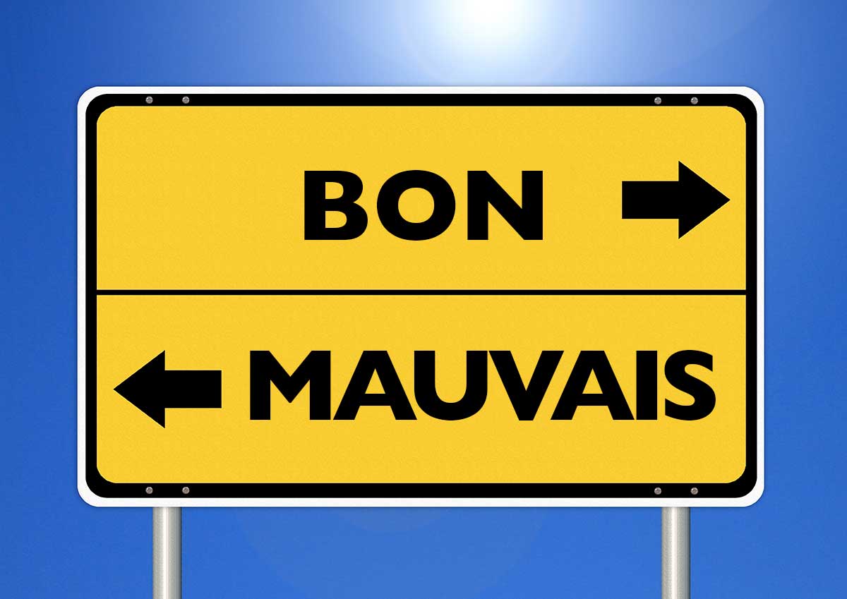 J Ai Peur De Ne Pas Avoir Fait Le Bon Choix S Expatrier Travailler Et Etudier Au Quebec Canada
