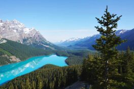 Le Canada veut plus de francophones