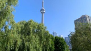 Première en 20 ans: le Canada a dépassé sa cible en immigration francophone hors Québec