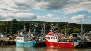 Suspension temporaire d'un programme d'immigration du Nouveau-Brunswick