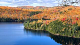 Nous sommes une famille de 4, avec des enfants de 3 et 8 ans à notre arrivée en 2023