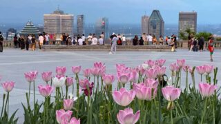 Augmentation du scepticisme envers l'immigration au Québec