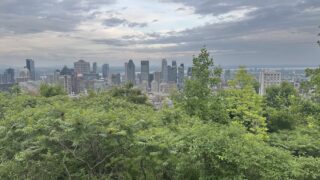 Sondage : les Québécois appuient massivement les travailleurs étrangers