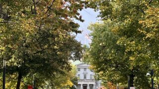 Étudiants étrangers : leur nombre est au plus  bas depuis la pandémie